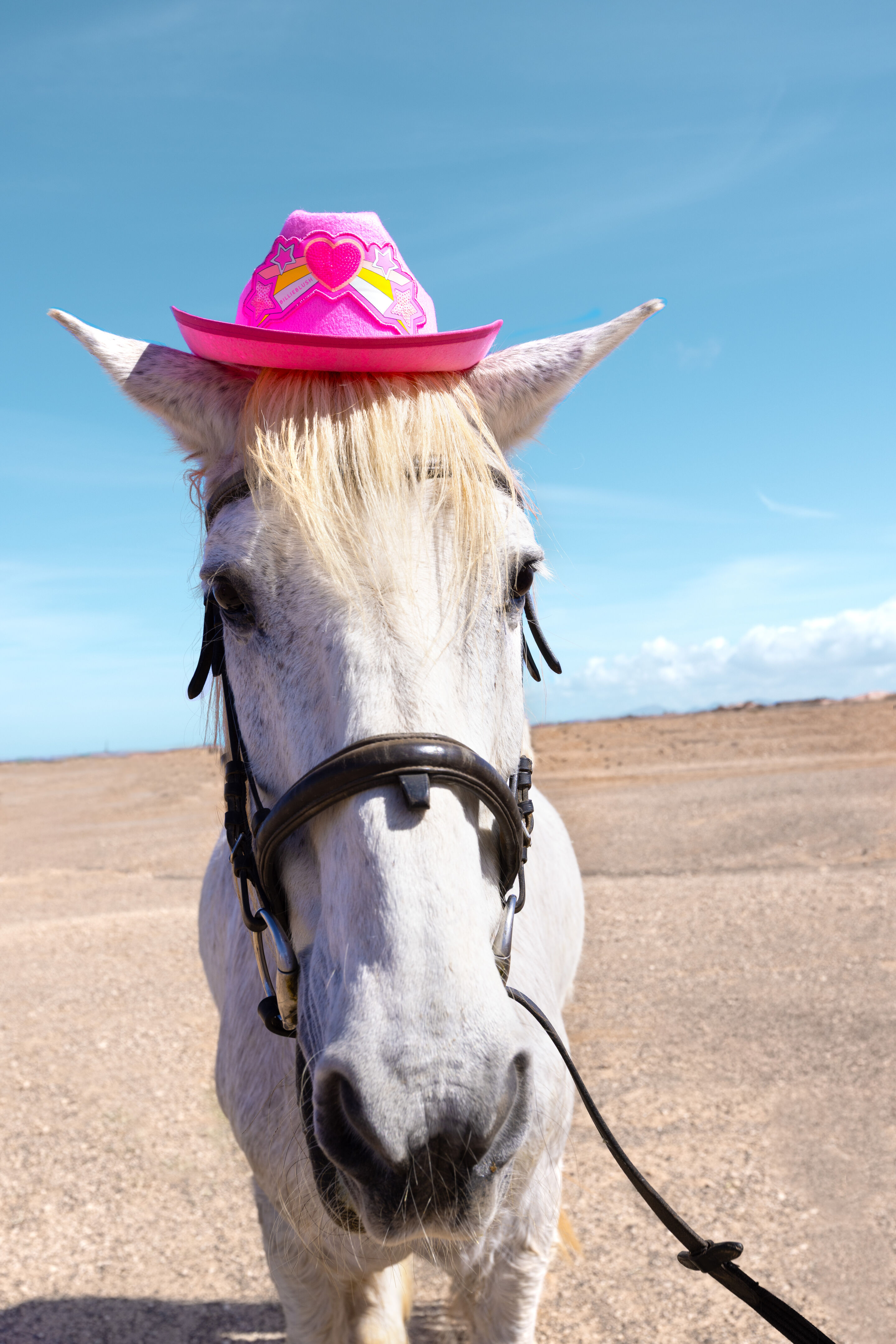 New Billieblush kidswear line for boys and teens, playful and full of energy.