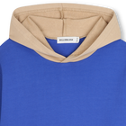Kapuzenpullover BILLIEBLUSH 
                    JUNGE
