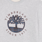Sweatshirt aus Molton TIMBERLAND 
                    JUNGE
