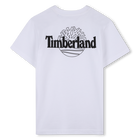 T-Shirt mit kurzen &Auml;rmeln TIMBERLAND 
                    JUNGE