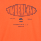 Lang&auml;rmeliges T-Shirt aus Jersey TIMBERLAND 
                    JUNGE