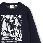 Pullover TIMBERLAND 
                    JUNGE