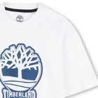 Zweifarbiges T-Shirt mit Logo TIMBERLAND 
                    JUNGE