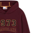 Sweatshirt mit K&auml;ngurutasche TIMBERLAND 
                    JUNGE