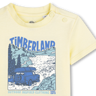 Kurz&auml;rmeliges t-shirt TIMBERLAND 
                    JUNGE