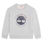 Sweatshirt aus Molton TIMBERLAND 
                    JUNGE