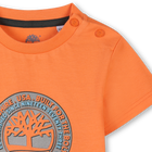 Kurzarm-Shirt TIMBERLAND 
                    JUNGE