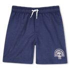 Schwimmer shorts, SCHIEFERBLAU, hi-res