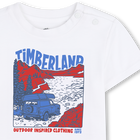 Kurz&auml;rmeliges t-shirt TIMBERLAND 
                    JUNGE