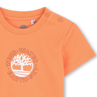 Kurz&auml;rmeliges t-shirt TIMBERLAND 
                    JUNGE