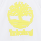 T-Shirt aus Jersey TIMBERLAND 
                    JUNGE