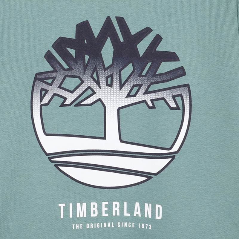 KAPUZENSWEAT TIMBERLAND 
                        JUNGE