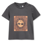 Set aus strickjacke, t-shirt und shorts TIMBERLAND 
                    JUNGE