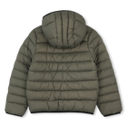 Steppjacke TIMBERLAND 
                    JUNGE
