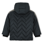 Steppjacke mit Kapuze KARL LAGERFELD KIDS 
                    JUNGE