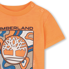 Kurz&auml;rmeliges t-shirt TIMBERLAND 
                    JUNGE