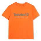 T-Shirt mit kurzen &Auml;rmeln, FEUERWERK, hi-res