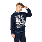 Pullover TIMBERLAND 
                    JUNGE