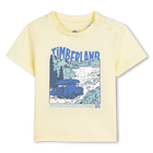 Kurz&auml;rmeliges t-shirt, STROH, hi-res