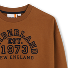 Sweat TIMBERLAND 
                    JUNGE