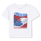 Kurz&auml;rmeliges t-shirt TIMBERLAND 
                    JUNGE