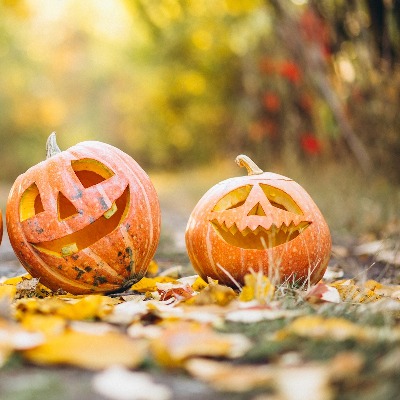 Der Halloween-Kürbis: Ein DIY für die ganze Familie